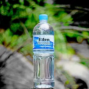 Eden Springs